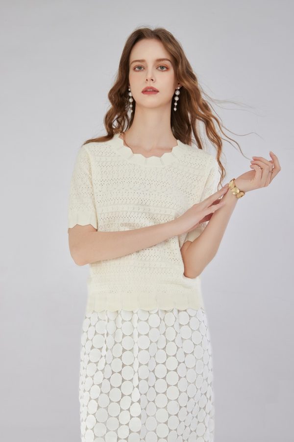 Knit Mix Lace Trim Ruffled Collar Hollow Out Short Sleeve Regular Fit T-Shirt for Petite Women