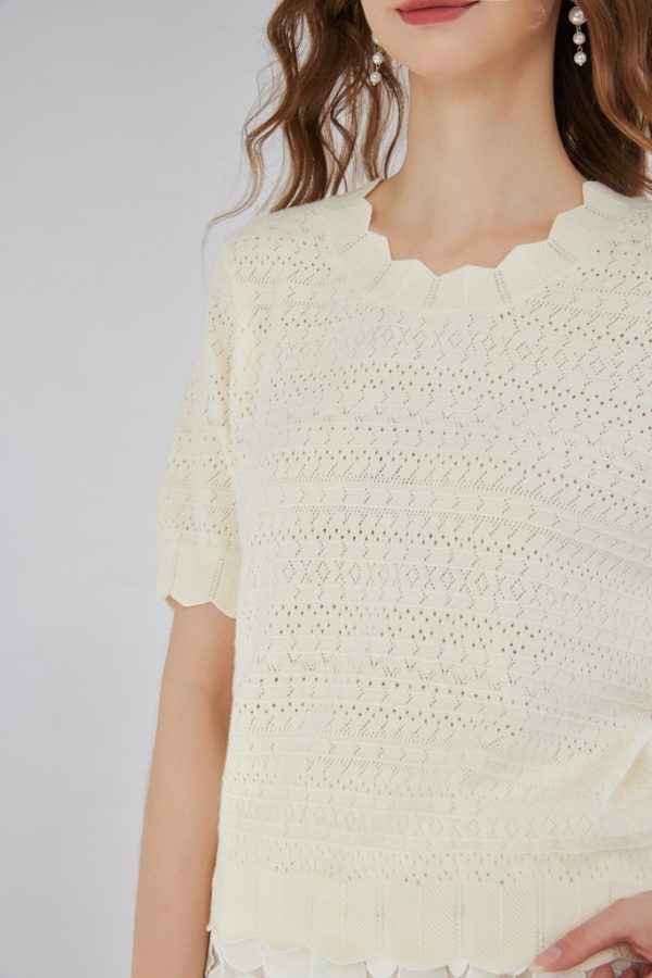 Knit Mix Lace Trim Ruffled Collar Hollow Out Short Sleeve Regular Fit T-Shirt for Petite Women - 图片 2